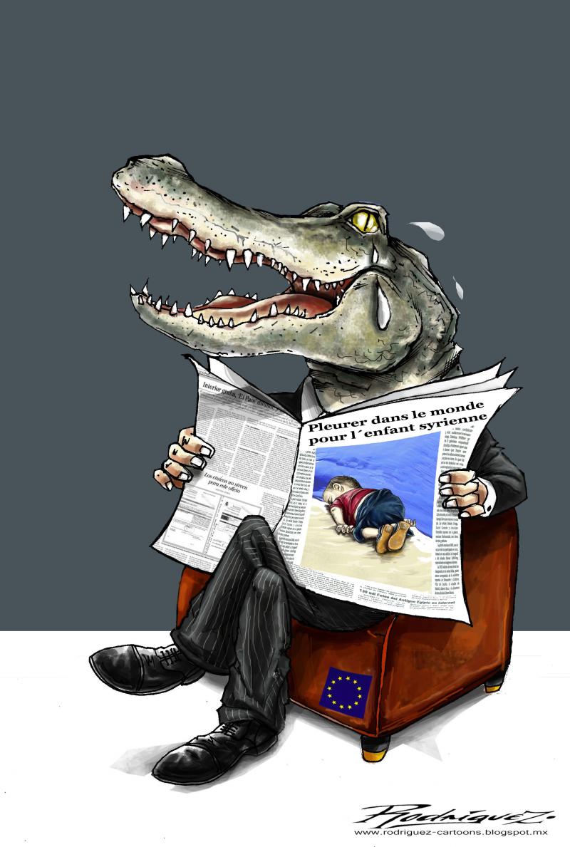 Карикатуры про крокодилов