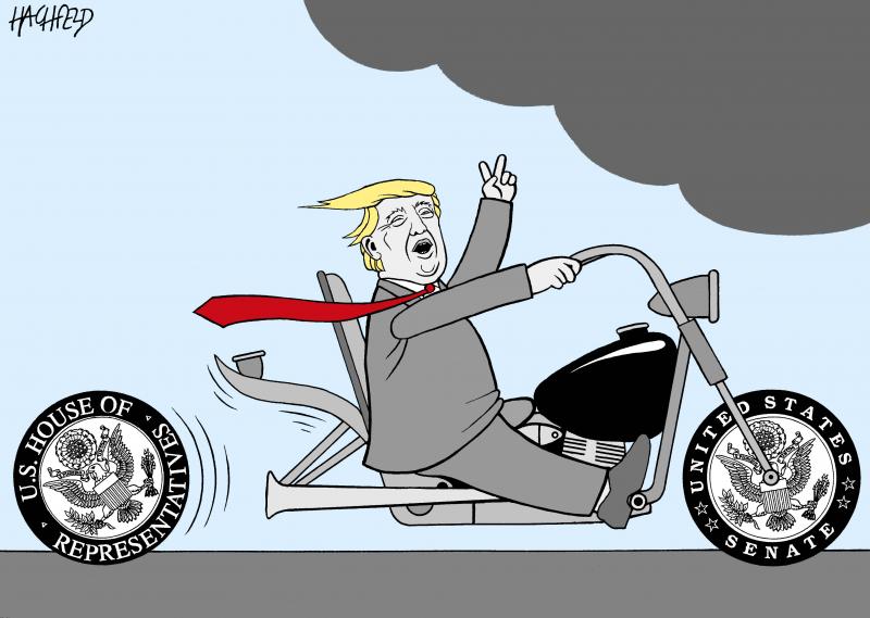 Loser Trump Cartoon Movement