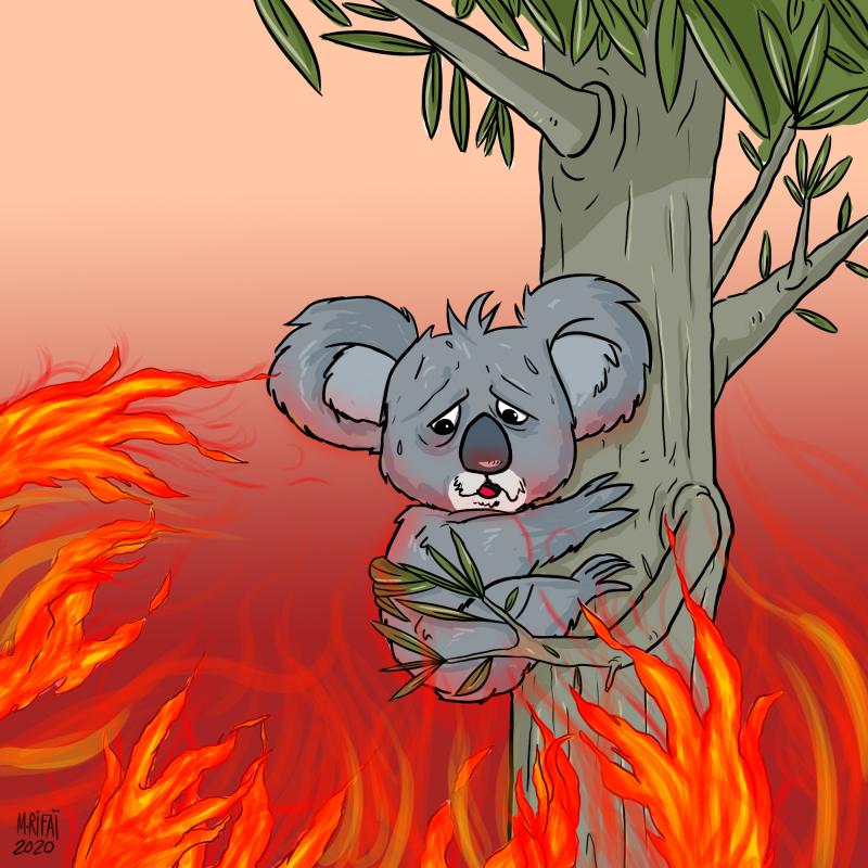 Fires In Australia Cartoon Movement