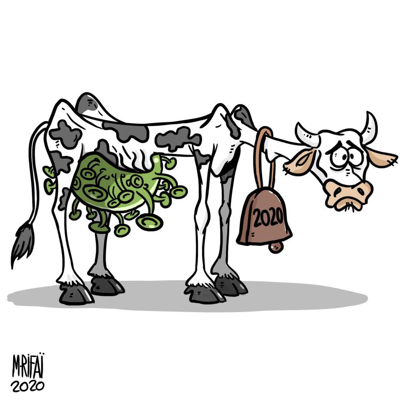 cow2020.jpg