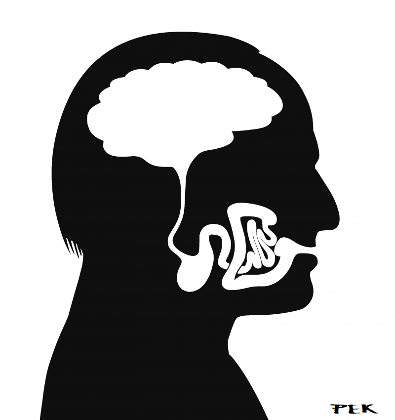 Shit For Brains Cartoon Movement