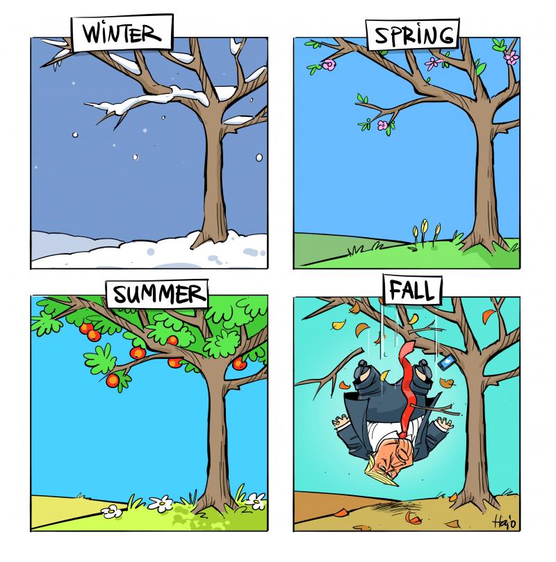 the%20four%20seasons.jpg