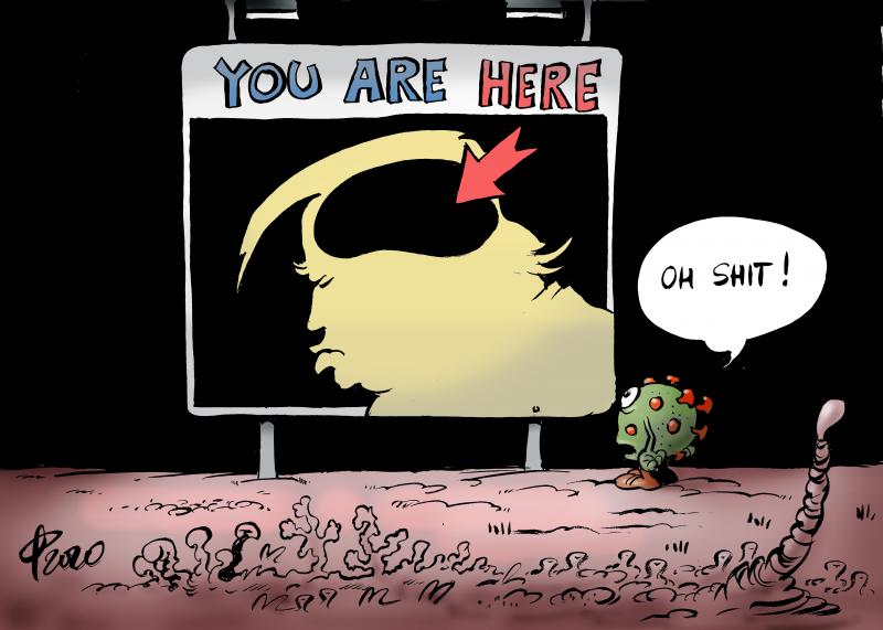 Cartoon about Trump and corona